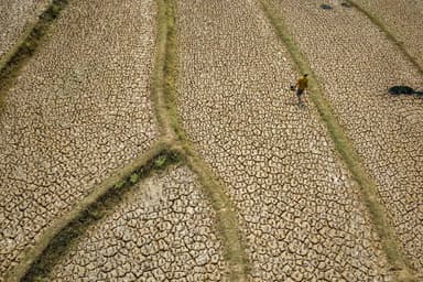 El Niño | Face à un phénomène « d’une ampleur sans précédent »