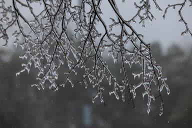 Tempête sur le Québec | La pire chute de pluie verglaçante en trois ans prévue mercredi