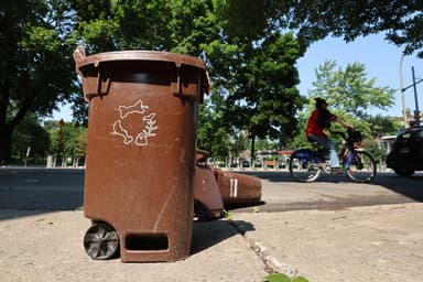 La facteur humain | Composter, un geste anecdotique ?
