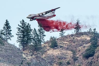 Incendies de forêt | Une des saisons « les plus intenses » de l’histoire