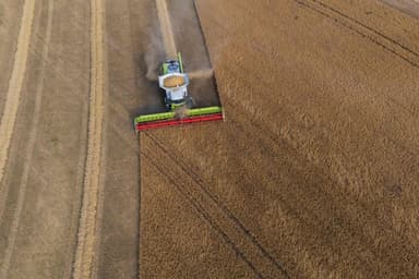 Congrès de l’Association américaine pour l’avancement des sciences | Des découvertes marquantes et inusitées