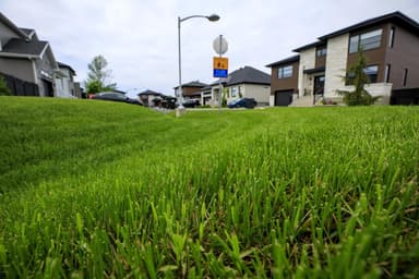 Démystifier l’environnement | Tondre ou ne pas tondre ?