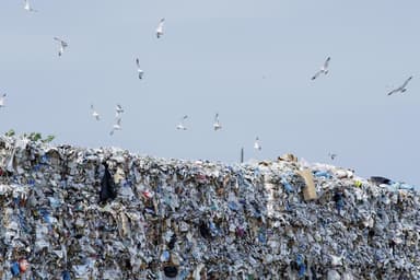 Planète bleue, idées vertes | Gestion des déchets : le pari de la Gaspésie
