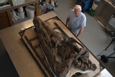 100e anniversaire de David Attenborough | L’homme qui racontait la planète