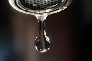 Dollard-des-Ormeaux, Dorval, Pointe-Claire et Saint-Laurent | Un avis d’ébullition touche environ 200 foyers