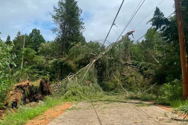 Saint-Donat | Une deuxième tornade confirmée au Québec