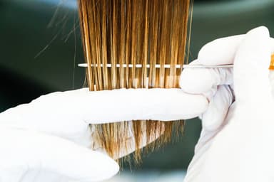 Indemnité à une personne non binaire | Quelles conséquences pour les salons de coiffure ?