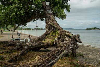 Évaluation du niveau de la mer | Un angle mort aux conséquences planétaires