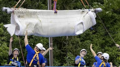 Six autres baleines quittent Marineland pour rejoindre des aquariums américains
