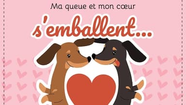 Le Commissariat aux langues officielles corrige, puis retire une publication « ambiguë »