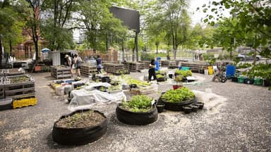 Un jardin collectif ou du logement hors marché sur ce terrain du Quartier chinois?
