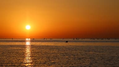 Les océans proches de leur record de chaleur