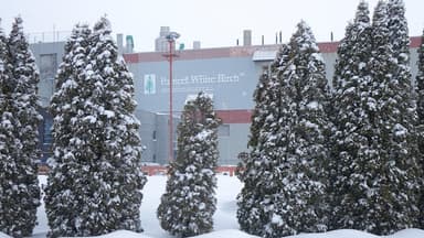 Terrains de F.F. Soucy : Rivière-du-Loup déposera une offre