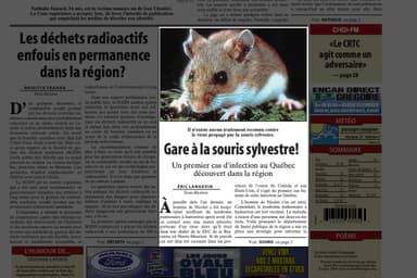 Hantavirus | Un cas en Mauricie il y a plus de 20 ans