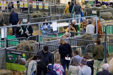 Courrier de France | Le public (et les vaches) boudent le Salon de l’agriculture