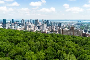 150e anniversaire du parc du Mont-Royal | Un « joyau collectif » toujours aussi précieux