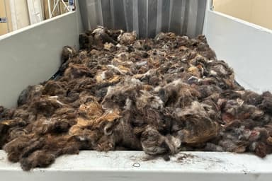 Planète bleue, idées vertes | Une méthode (pas si) tirée par les cheveux