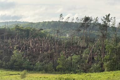 Laurentides | Une tornade confirmée « à 95 % » a frappé Harrington